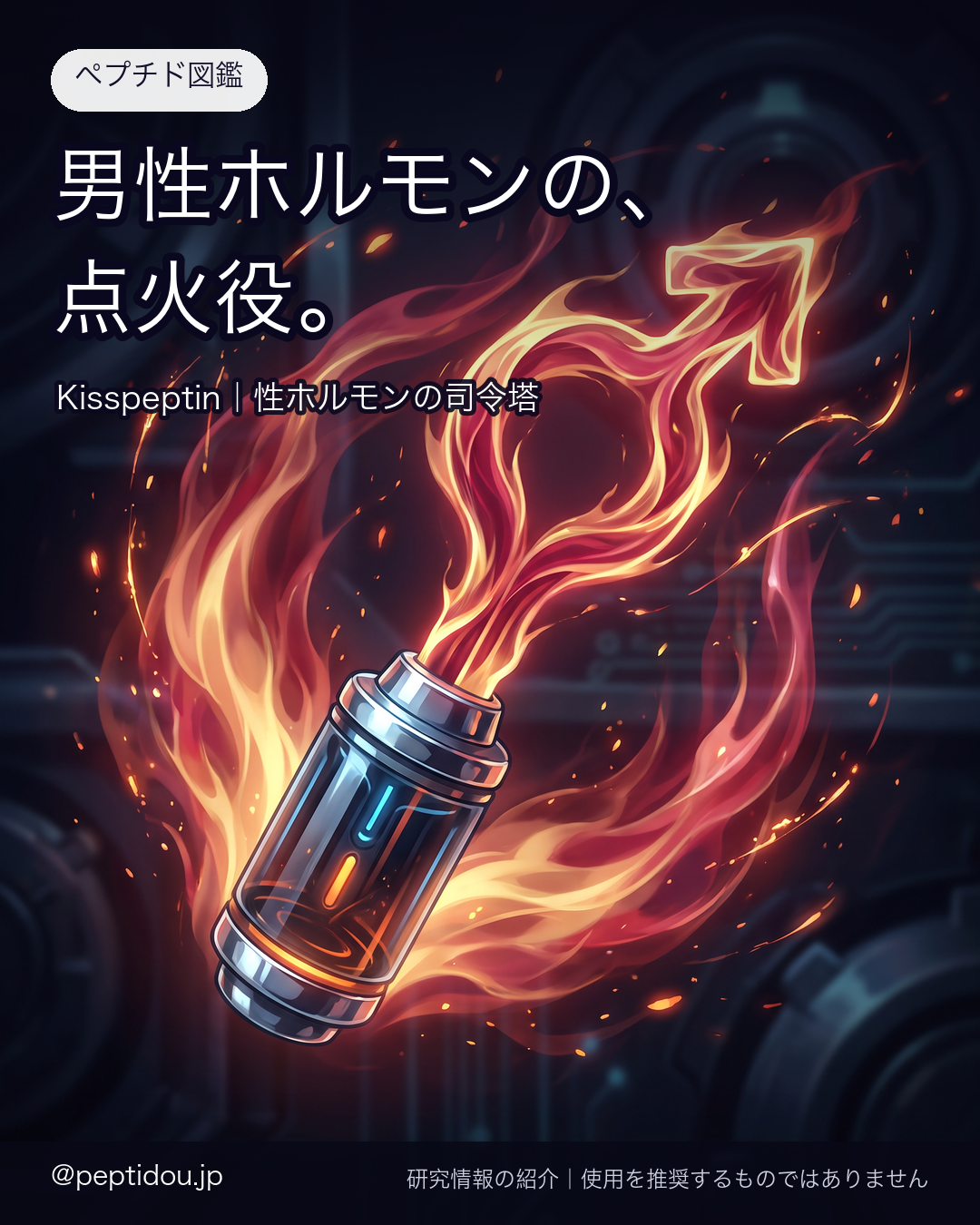 キスペプチン